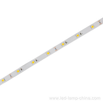 12V 150D SMD5050 LED strip